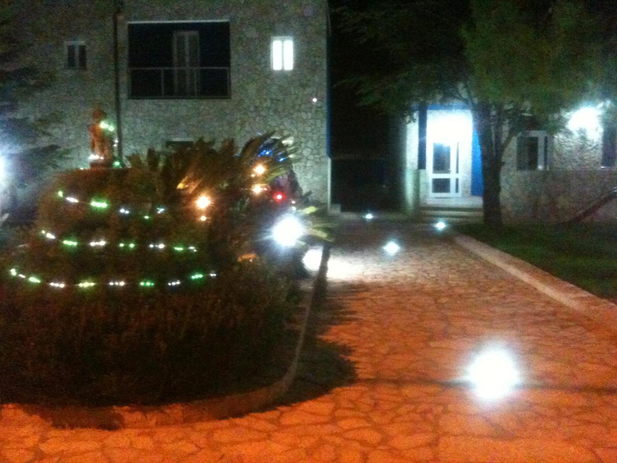 Bed And Breakfast Fly Bari Exterior foto